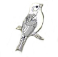 Finch bird