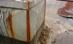 bird guano damage to structure
